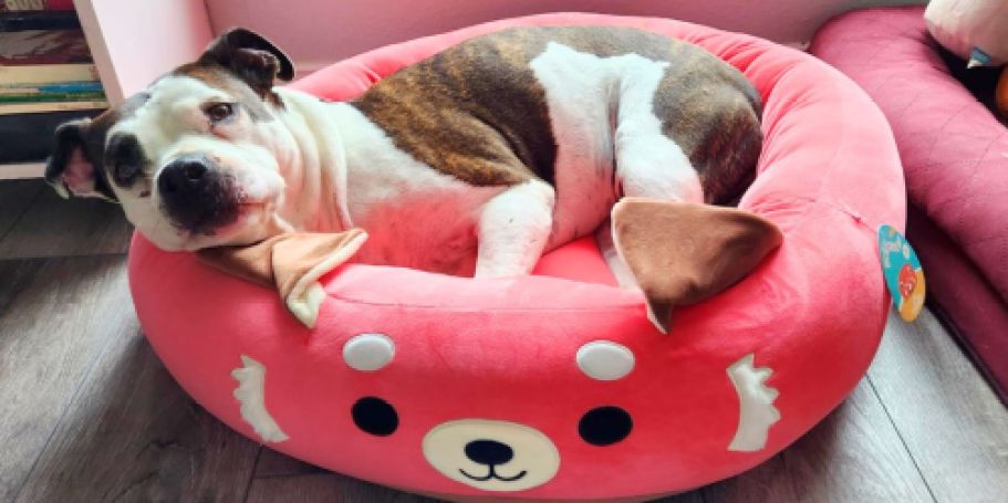 Squishmallows Pet Beds from $14.99 + Free Shipping for Prime Members