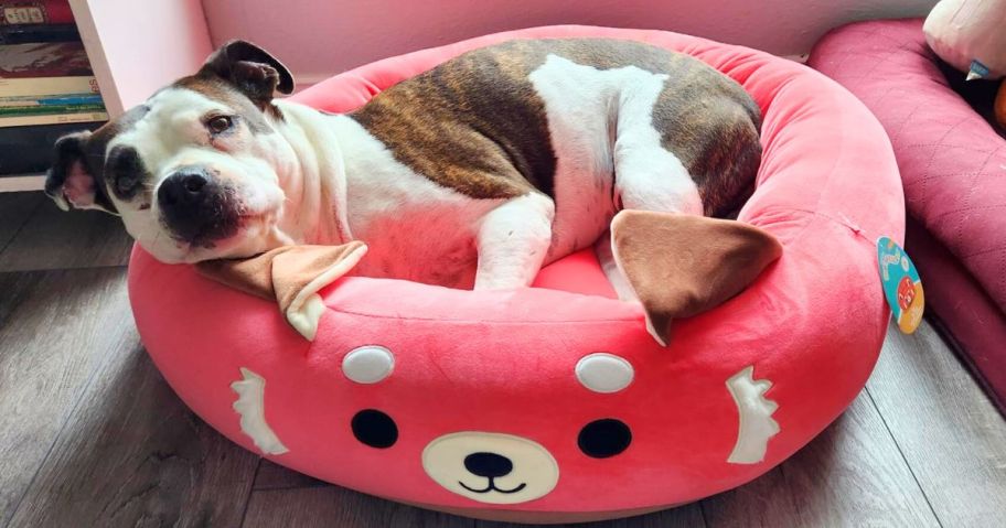 A dog laying in a Squishmallows Pet Bed