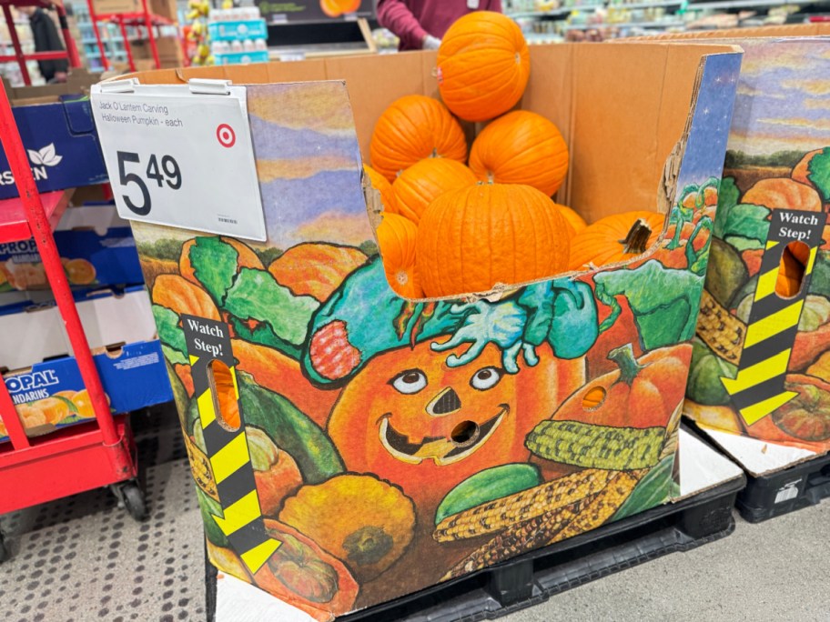 2024 Target Pumpkins and pricing shown in store