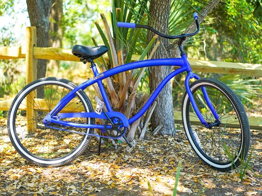 blue and black beach cruise bike leaning against a tree