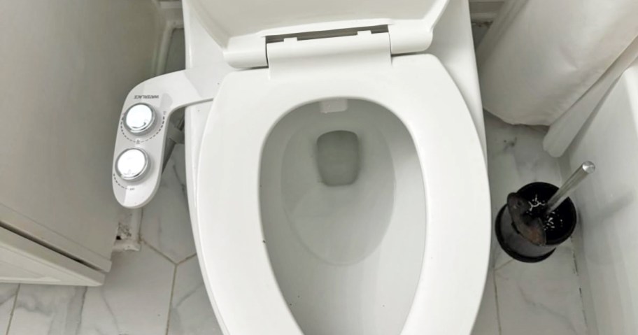 toilet with a bidet attachment