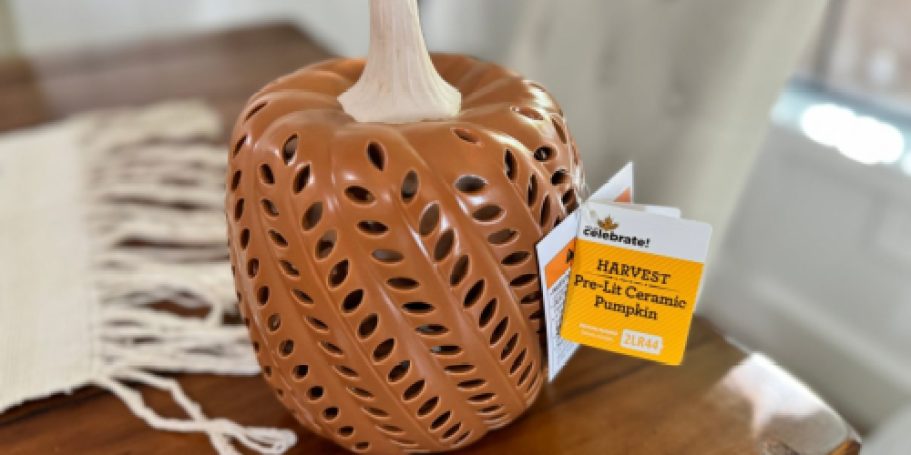 NEW Fall Decor Dropped at Walmart!