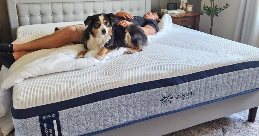 Up to 55% Off Zinus Mattress Sale + Free Shipping | Prices from $179 Shipped