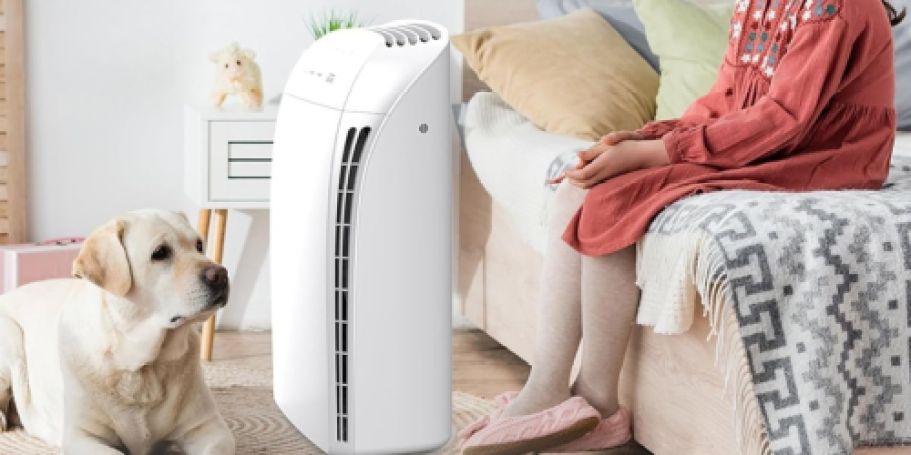 HEPA Air Purifier Just $62.99 Shipped on Amazon | Removes 99.97% of Pet Dander, Dust & More