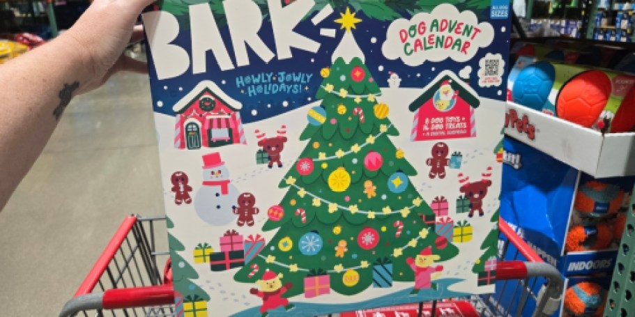 Bark Advent Calendar for Dogs Just $39.99 at Costco | Includes 8 Toys, 16 Treats, & Story