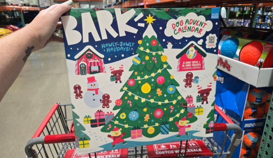 womans hand holding a bark advent calendar