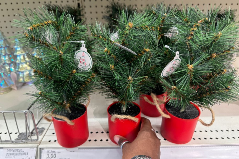 hand grabbing pine tree in red bucket off shelf