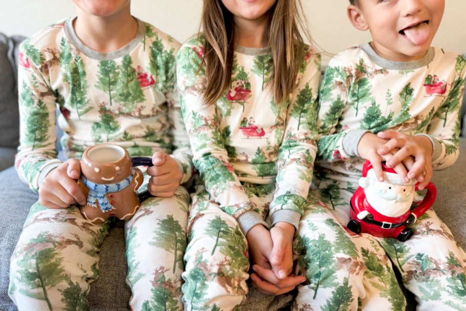 Burt’s Bees Matching Holiday Family Pajamas from $8.79 Shipped (Get Yours Before They Sell Out!)