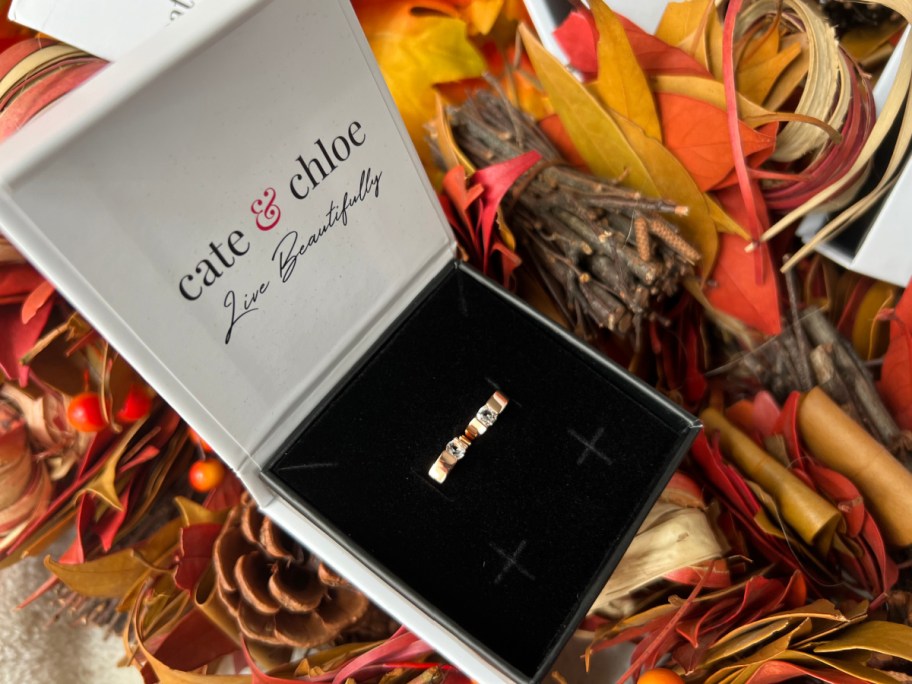 cate & chloe earrings in box