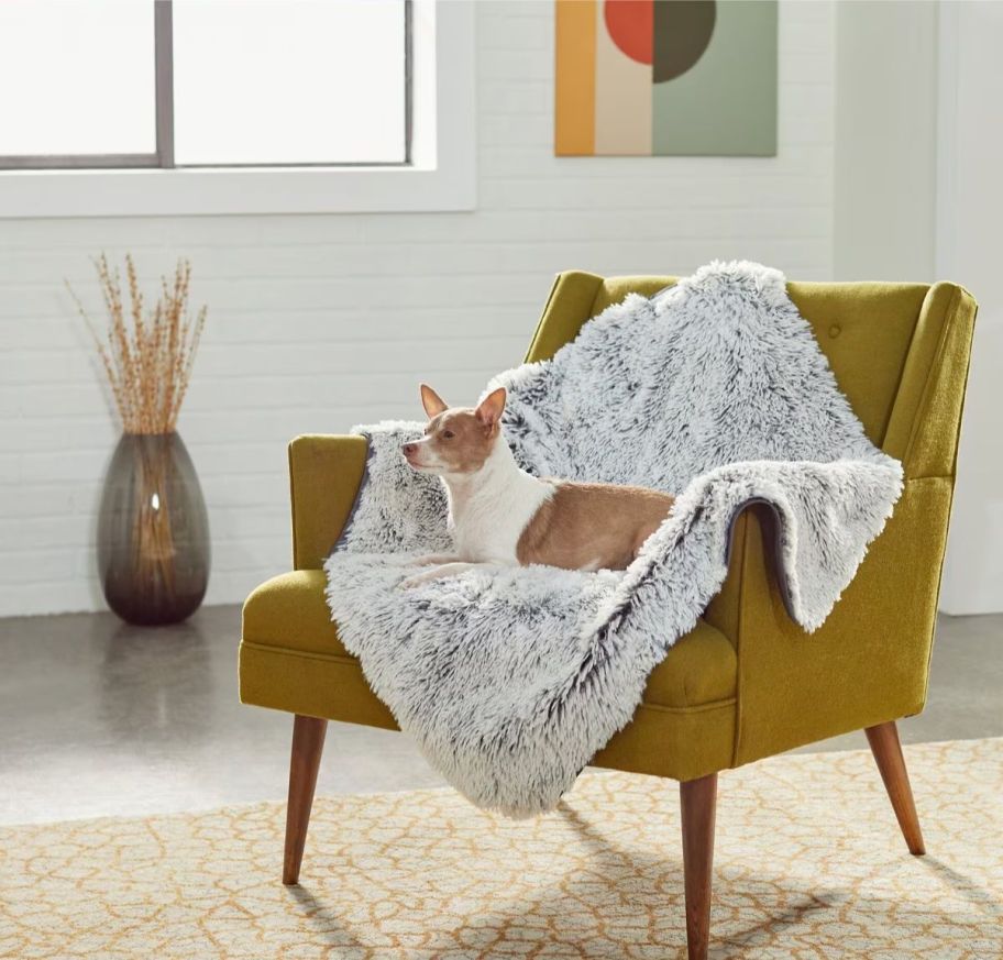 a small dog on a pet blanket draped over a chair