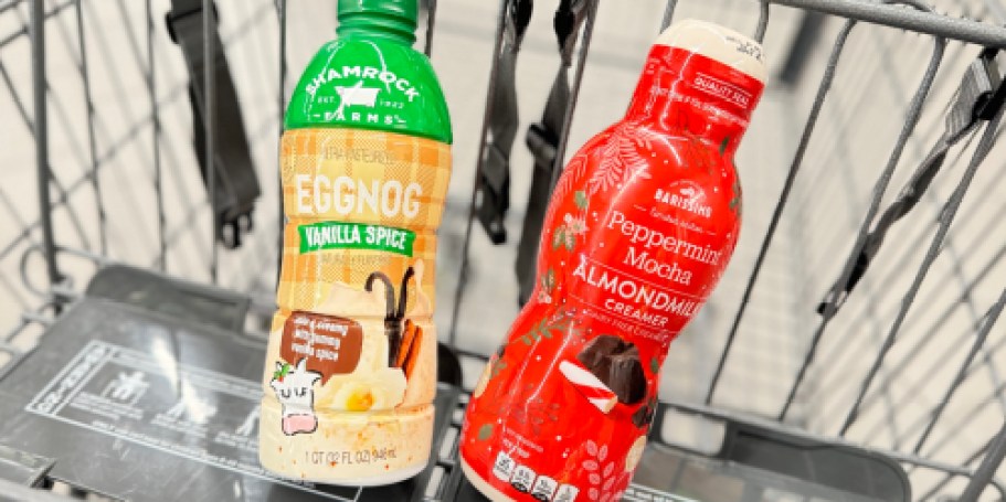 New ALDI Holiday Grocery Finds: Spiced Eggnog, Peppermint Mocha Creamer & More!