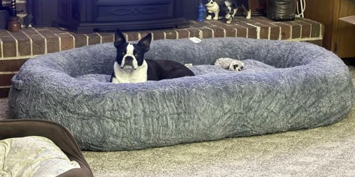 Human Sized Dog Bed Only $99.98 on SamsClub.com (Comparable to Plufl & Save Over $200)