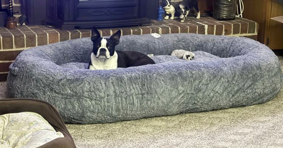 black and white dog in gray dog bed in room 