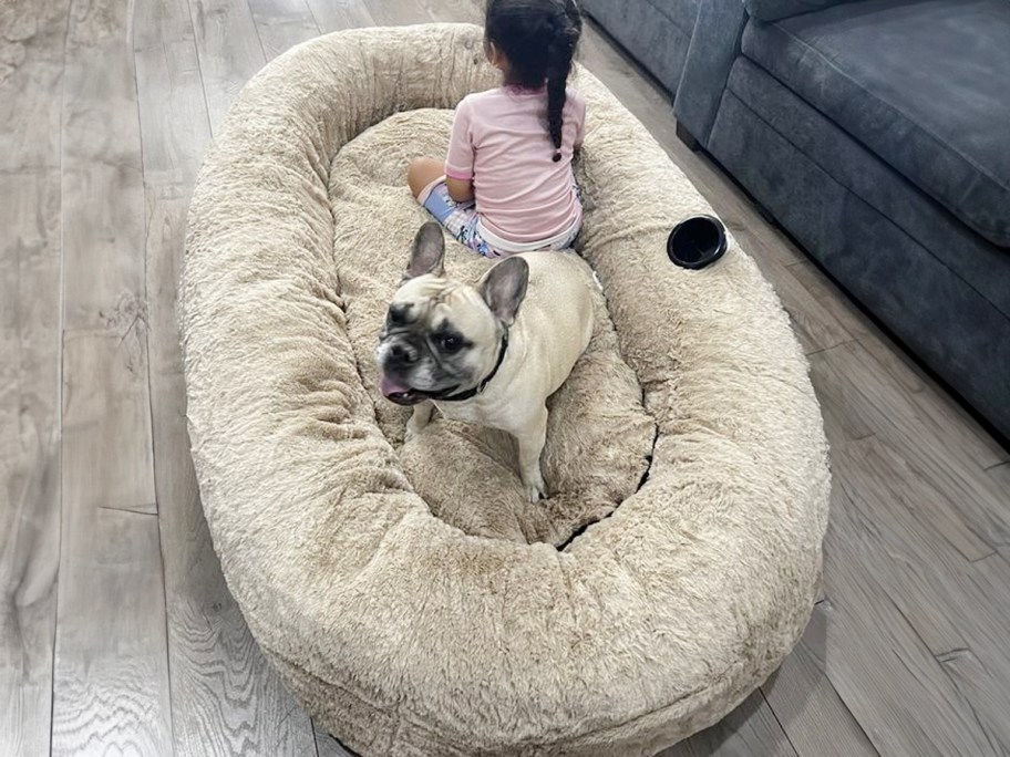 dog and child sitting in large tan dog bed