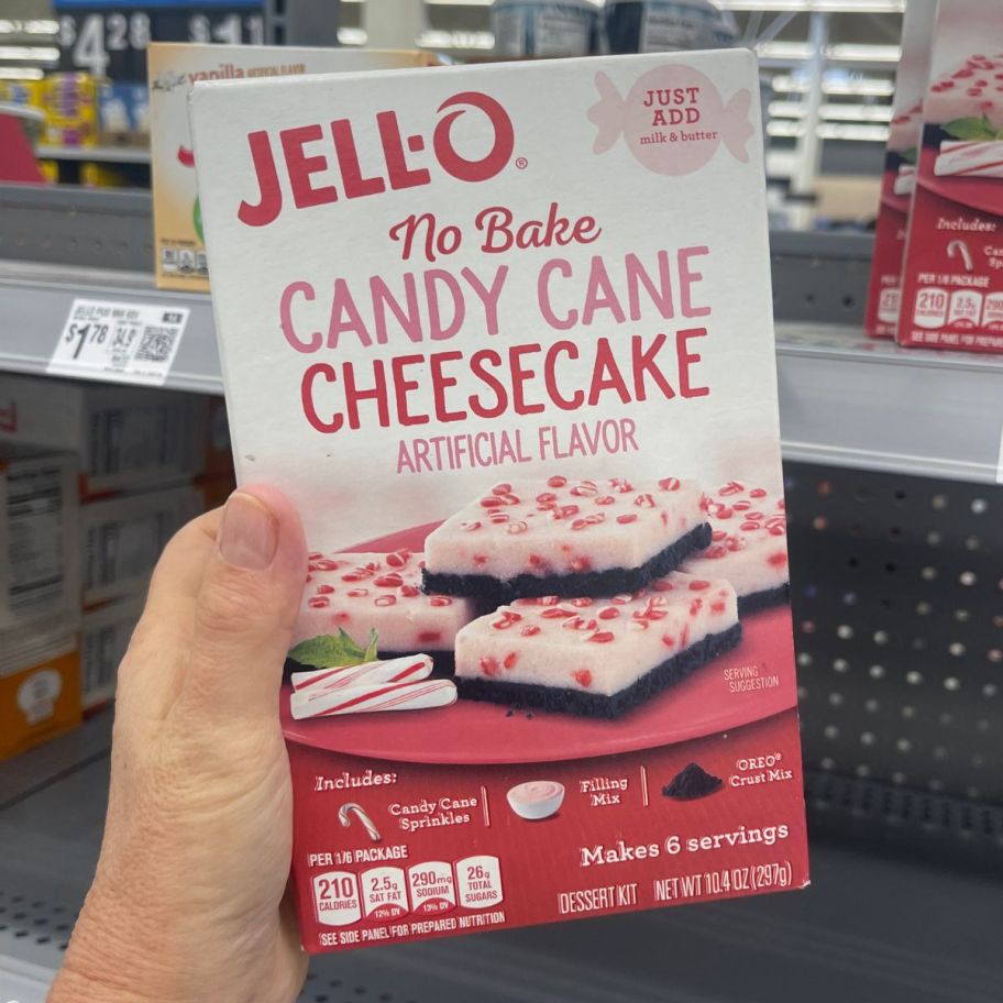 a womans hand holding a box of peppermint no bake cheese cake