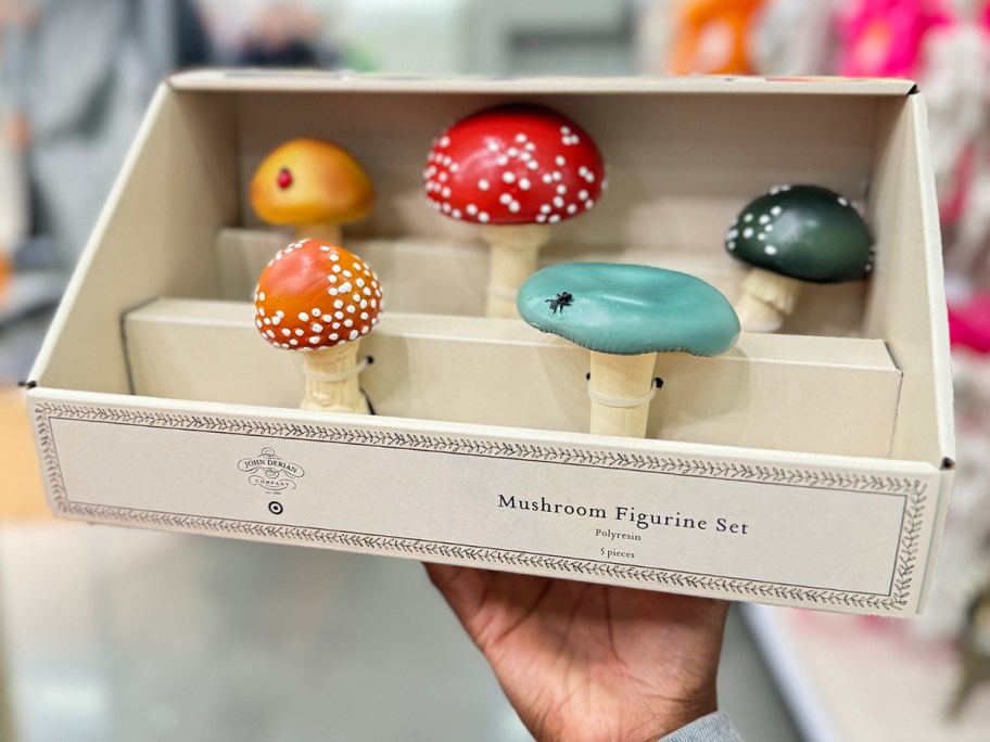 5 piece mushroom set in box 