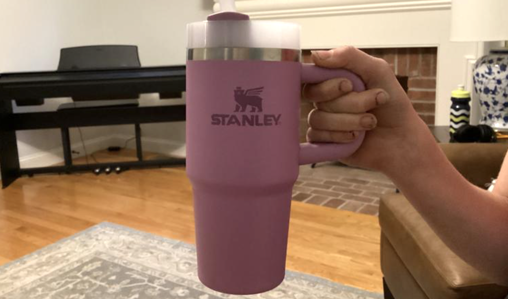 NEW Stanley Mini Tumblers Available Now from $20!