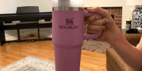 NEW Stanley Mini Tumblers Available Now from $20!