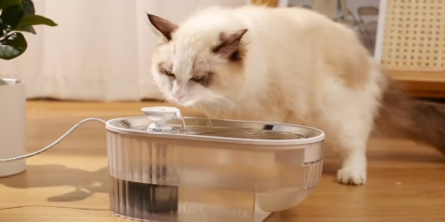 Cat Water Fountain Only $15.99 on Amazon (Removes 99.9% of Impurities)