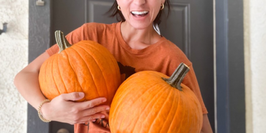 Best Places to Buy Cheap Pumpkins for Halloween 2025
