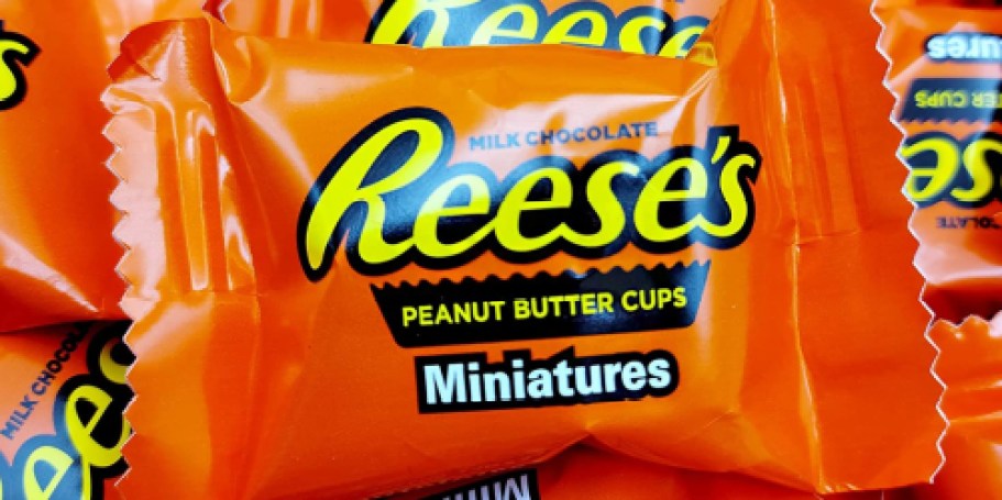 Reese’s Mini Peanut Butter Cups 1LB Box Only $4.74 Shipped on Amazon (Reg. $13)