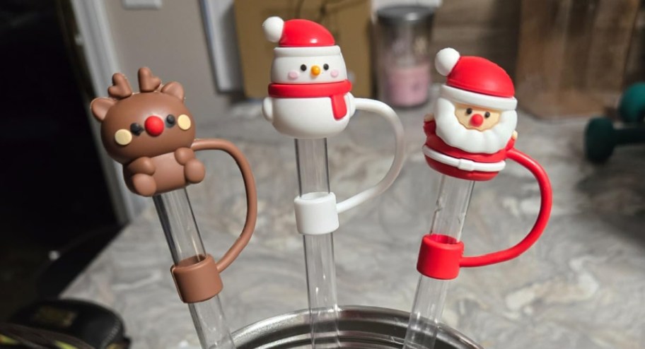 stanley-christmas-straw-toppers