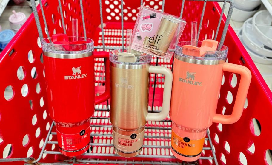 Teen Gift Idea: Stanley elf Tumblers w/ Matching Lip Oil Holders!