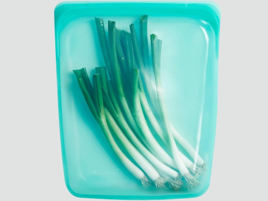 an aqua colored half gallon stasher bag