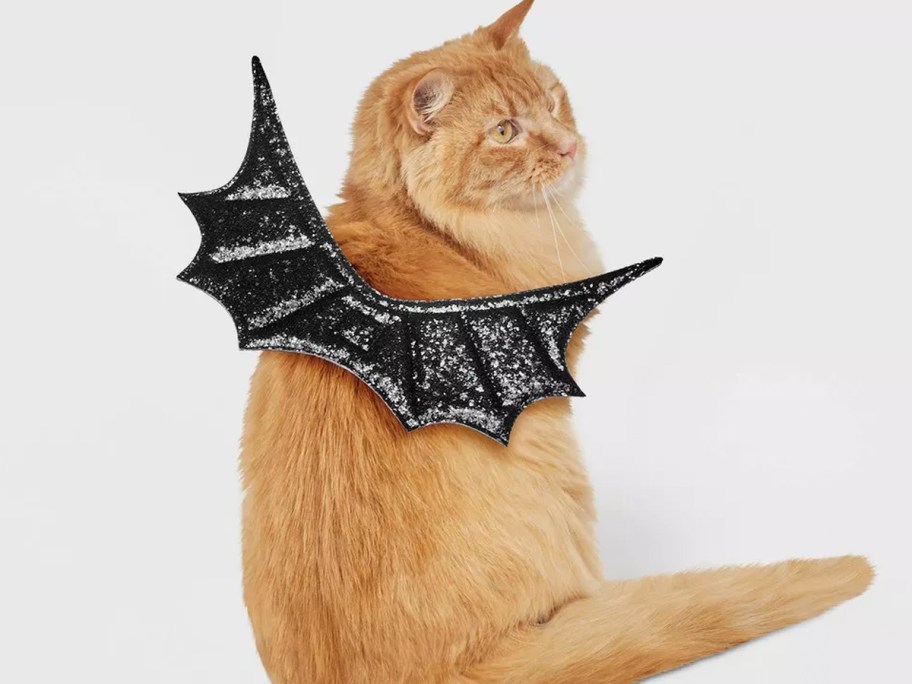 Orange cat wearing bat wings 