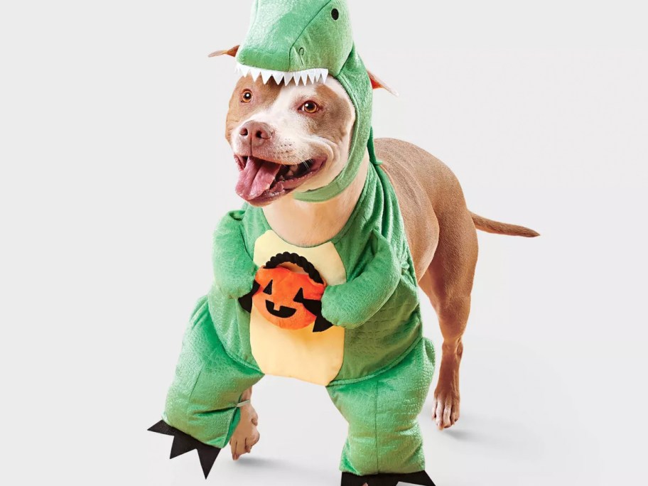 Dog wearing a dinosaur costume 