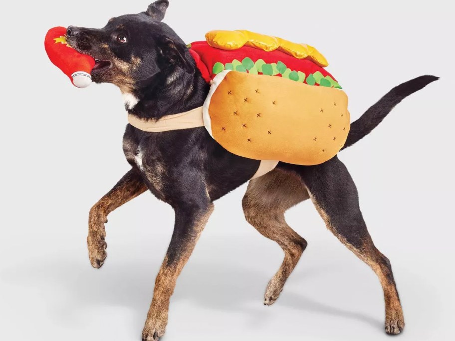 Dog wearing a hot dog costume