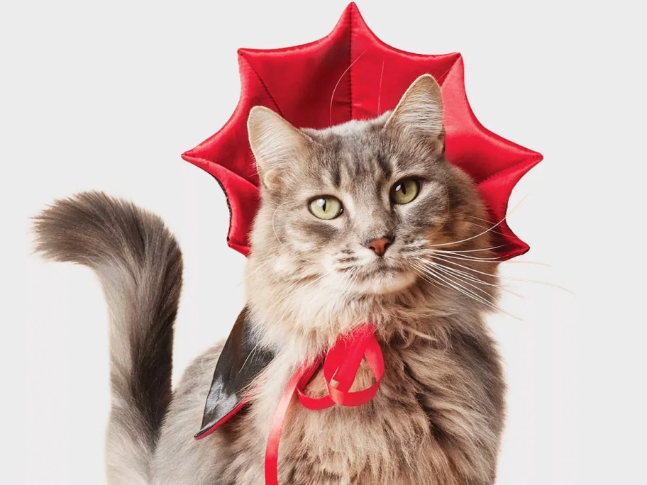Woman wearing a red vampire cat 