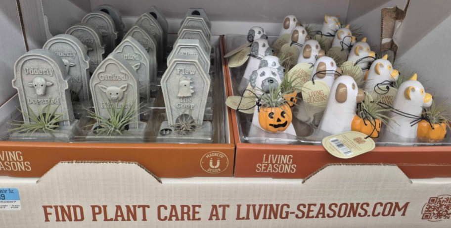 A retail display containing two trays of Halloween-themed air plant holders, featuring gray farm animal tombstones on the left and white ghost dogs holding small pumpkins on the right.