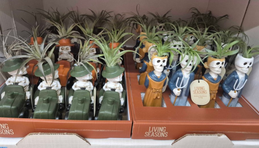 A retail display of Halloween-themed air plant holders featuring skeletons driving small green tractors on the left and skeleton farmer couples holding pitchforks on the right, each with a green air plant sprouting from its head.