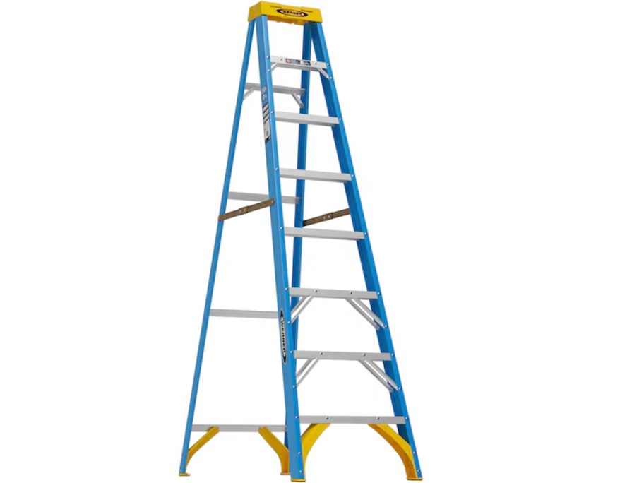 blue and yellow werner ladder 