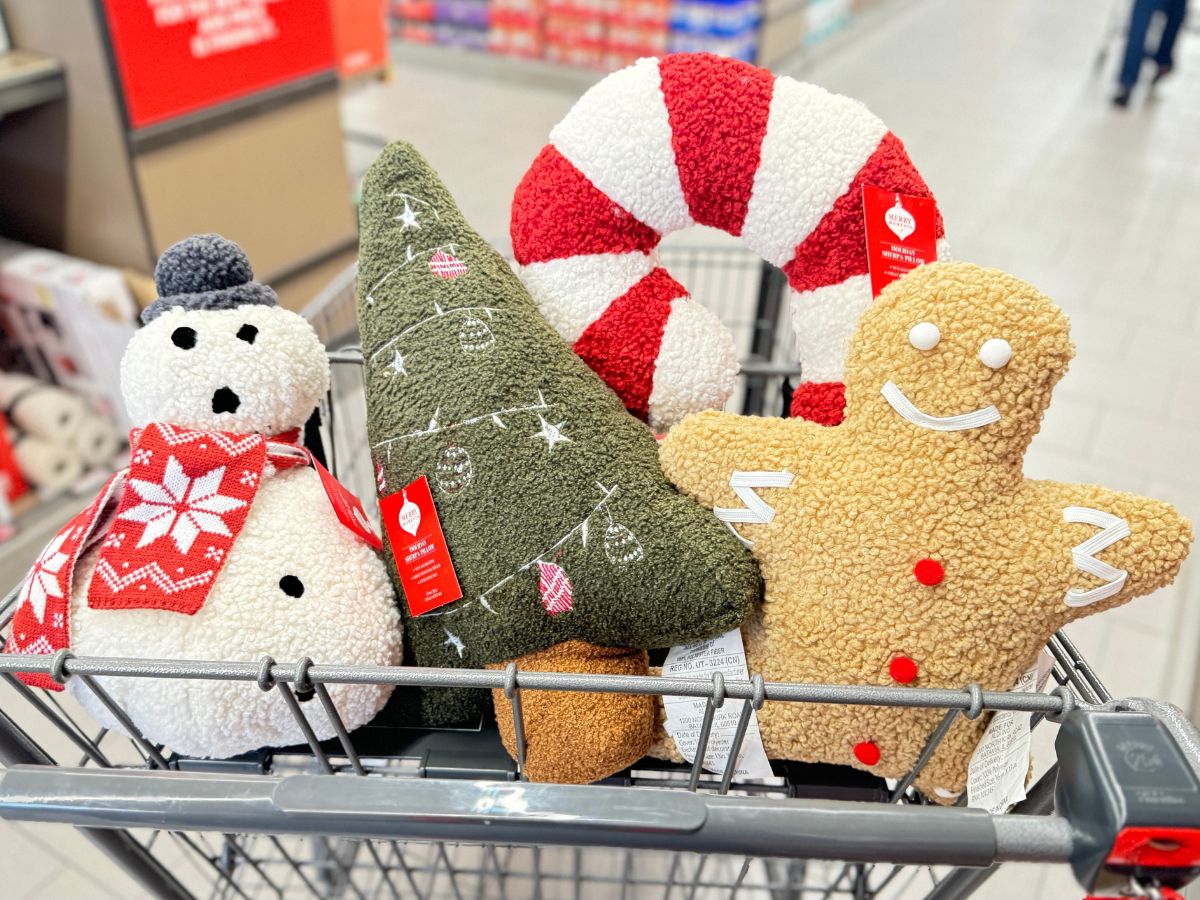 Top ALDI Weekly Finds | Matching Christmas Pajamas, Holiday Throw Pillows + MUCH More!