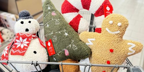 Top ALDI Weekly Finds | Matching Pajamas, Holiday Throw Pillows + MUCH More!