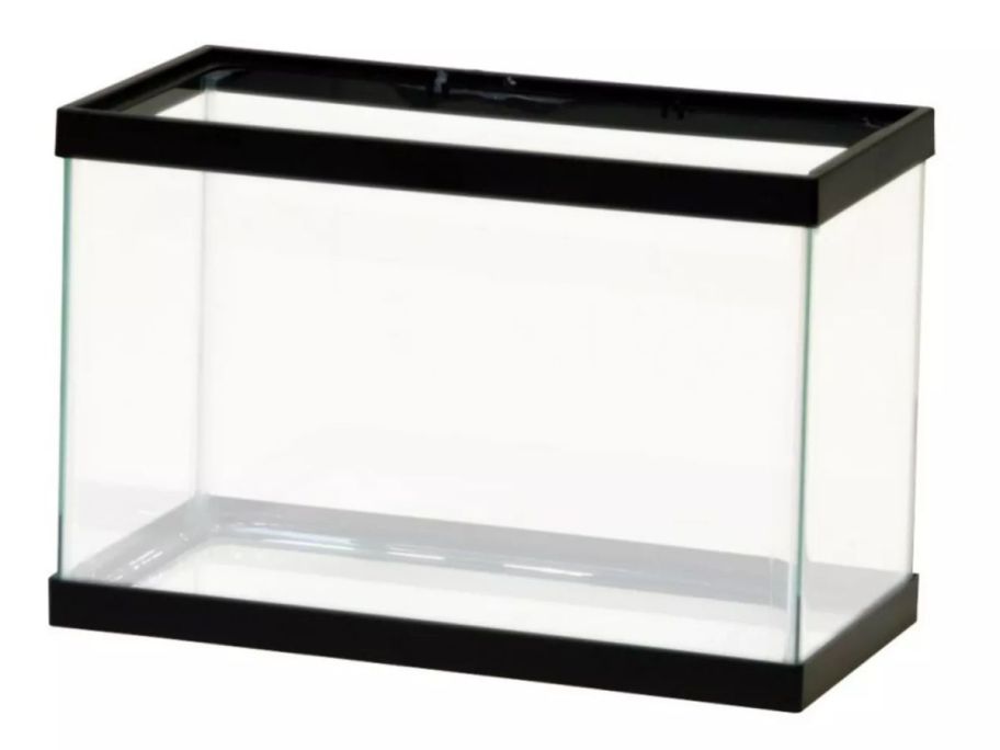 Aqueon Standard Glass Rectangle Aquarium stock image