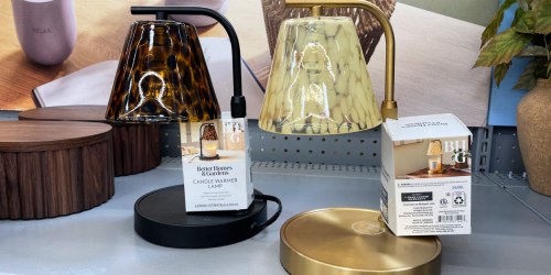 Tortoise Wax Cube & Candle Warmers Just Dropped at Walmart (In Over 1,000 Carts!)