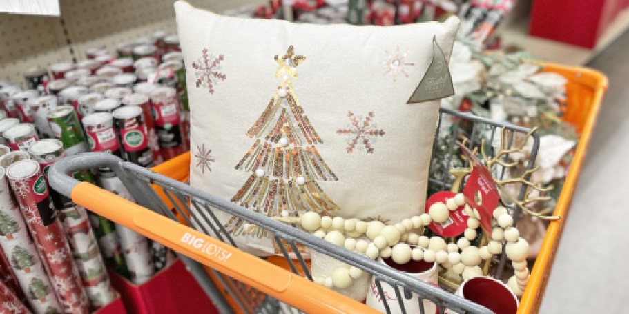 Big Lots Black Friday Sale Kicks Off 11/29 – Save 50% on Christmas Pillows, Inflatables & More!