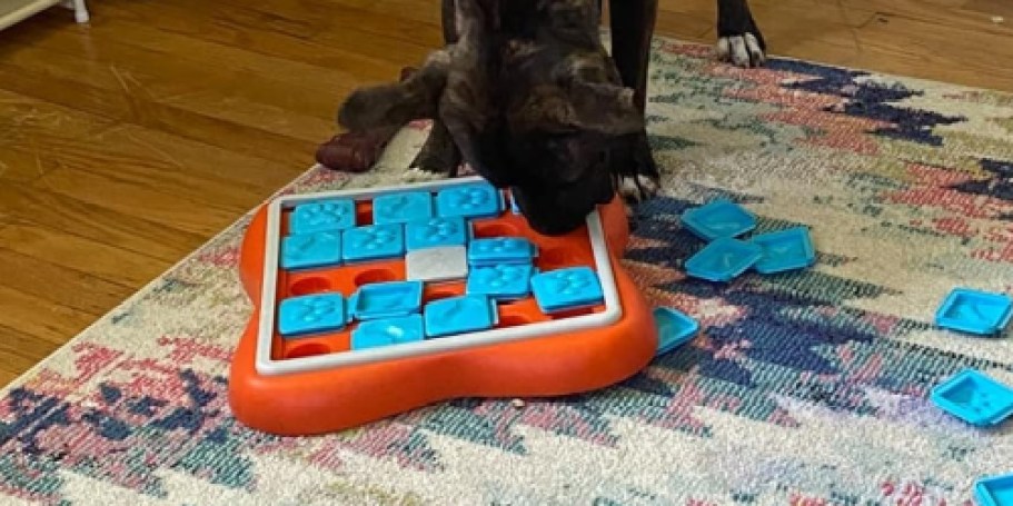 Outward Hound Dog Puzzle Toy Only $8.04 on Amazon (Reg. $26) | Over 14,000 5-Star Ratings