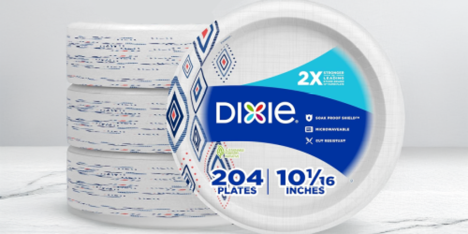 Dixie Large Paper Plates 204-Count Only $17 Shipped on Amazon | Stock Up!