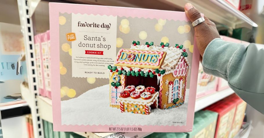 Gingerbread House Kits Only $10 at Target | So Many Cute Styles!