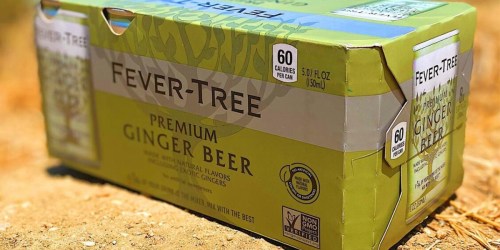 Fever Tree Ginger Beer Cans 24-Pack Only $14 Shipped on Amazon (Great for Holiday Mocktails!)