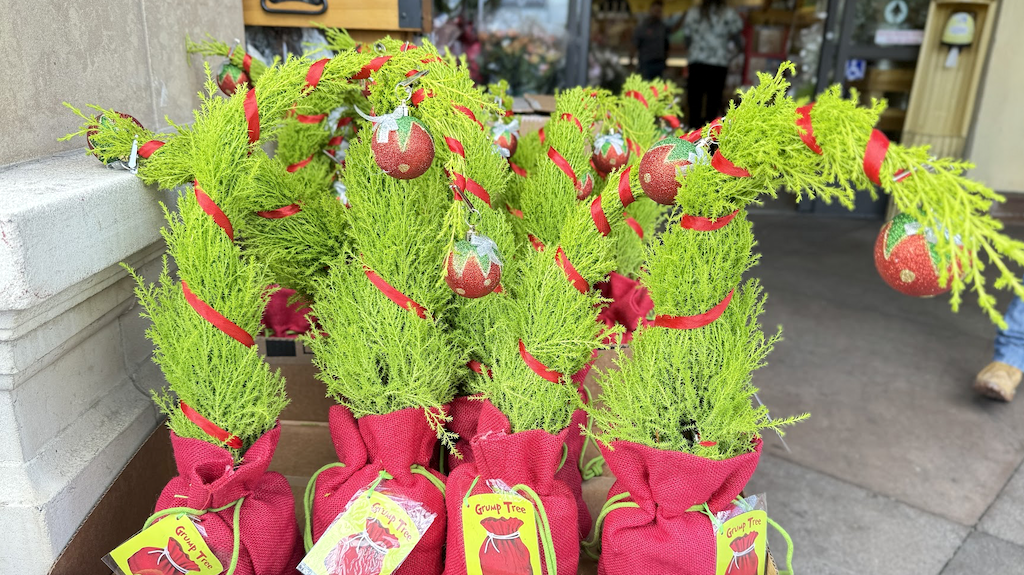 Trader Joe’s Grinch Christmas Trees Have Returned & They’re Only $9.99!