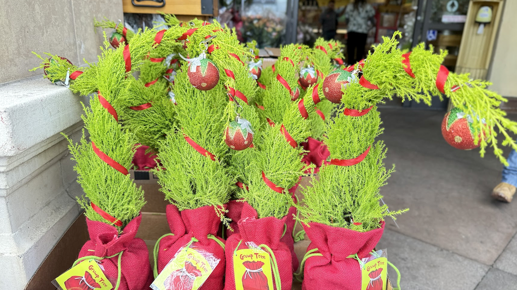 Grinch Trees at Trader Joe's 