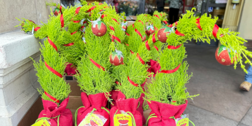 Trader Joe’s Grinch Christmas Trees Have Returned & They’re Only $9.99!