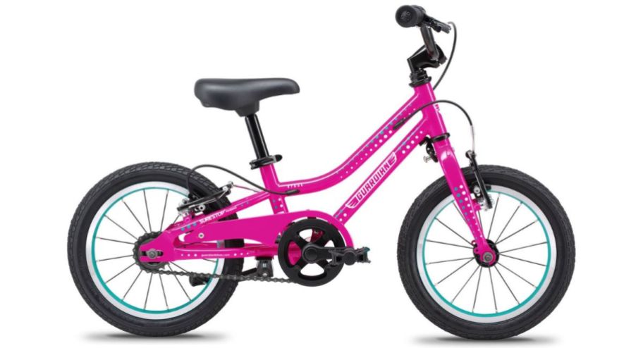 stock image of Guardian 14 Bike