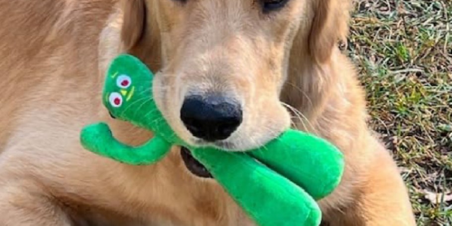 Gumby Plush Dog Toy Just $2 on Chewy.com | Great Stocking Stuffer for Your Pet