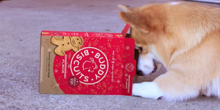 Get 50% Off Holiday Pet Treats at Target – Stocking Stuffers for Cats & Dogs!